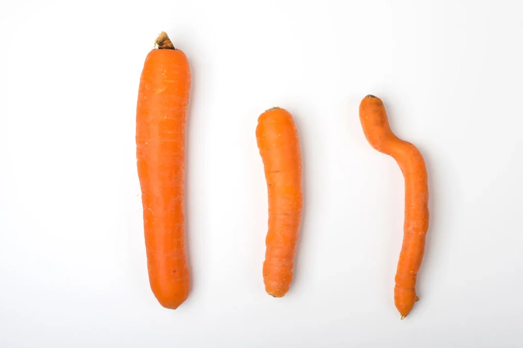 foto drie wortels