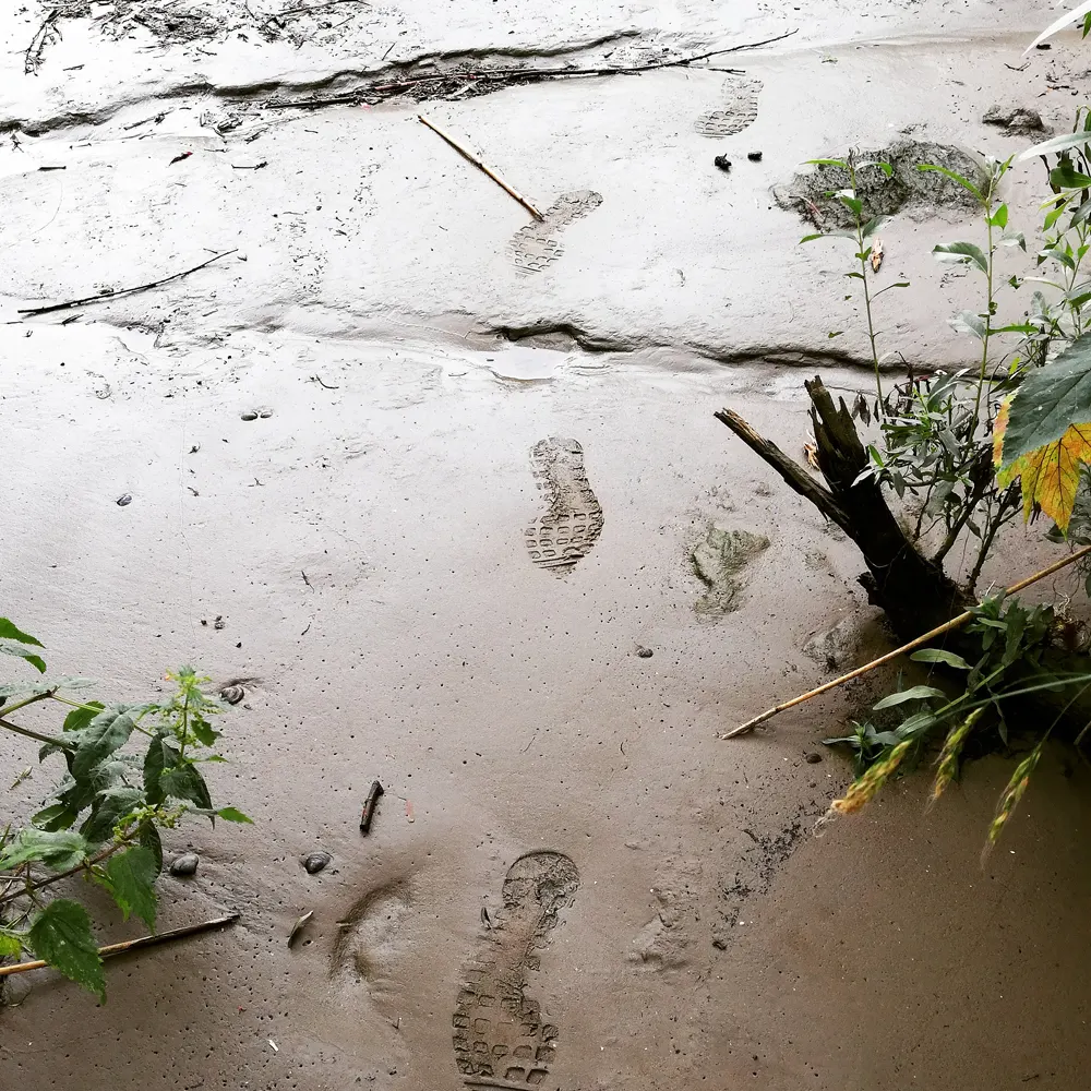 voetstappen in modder