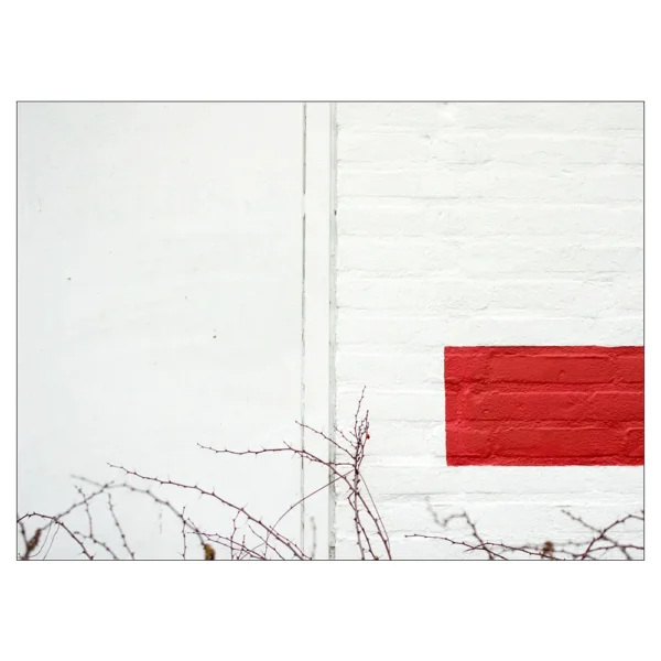 witte muur met rood vlak en takken
