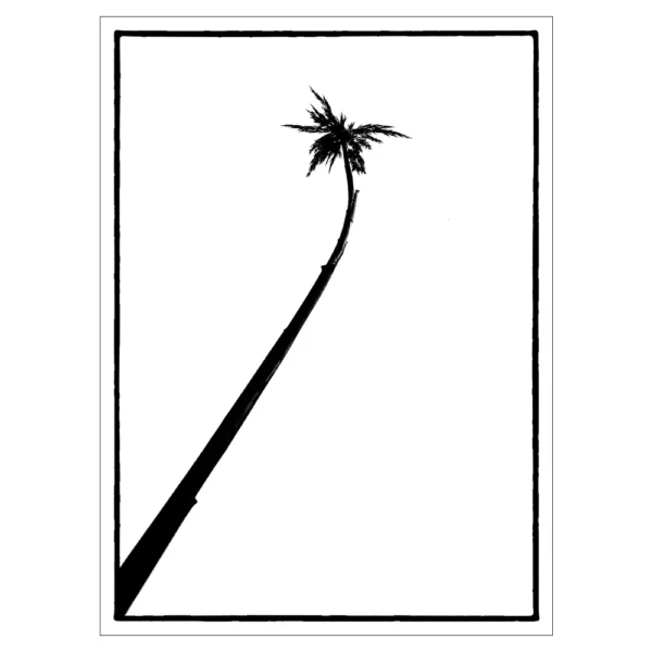 zwart wit kaart met palmboom