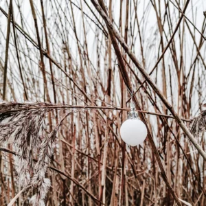 kerstbal in het riet