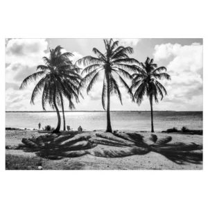wenskaart strand palmbomen zwart wit foto